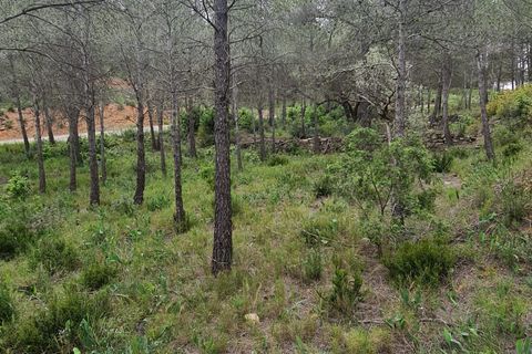 Landejendom i Asco, Tarragona, Asco - € 12.500 | Ref: 959 Lasco - foto 13